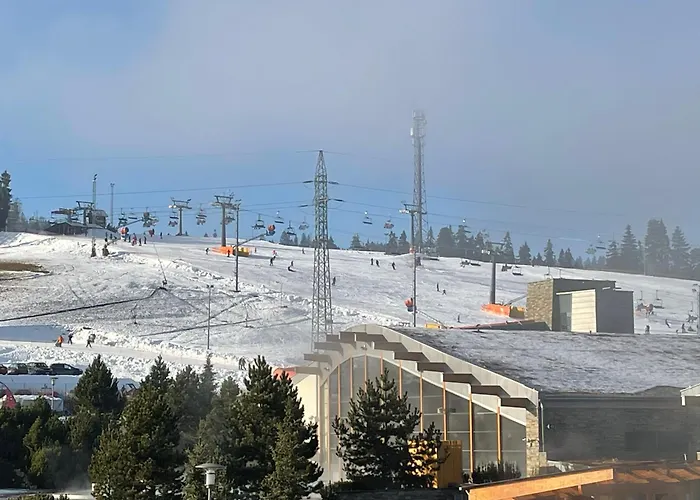 Royal Hill